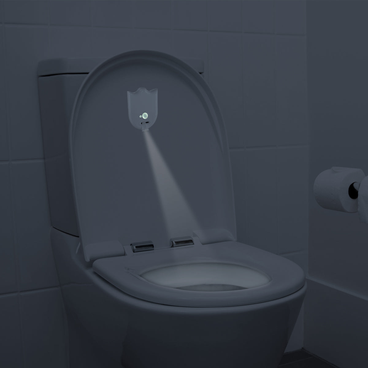 ToiletTarget™ Light